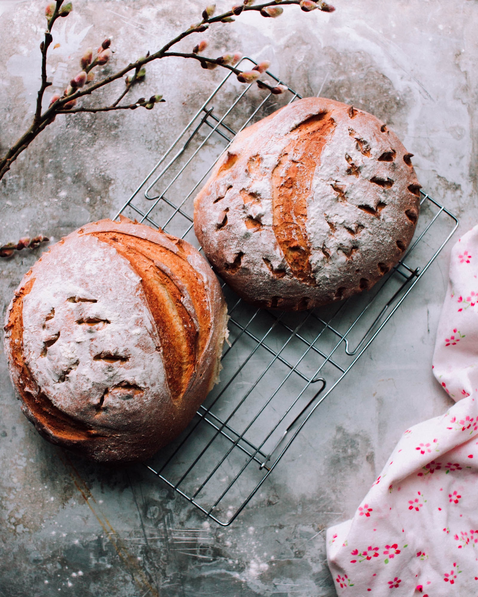 wheat bread